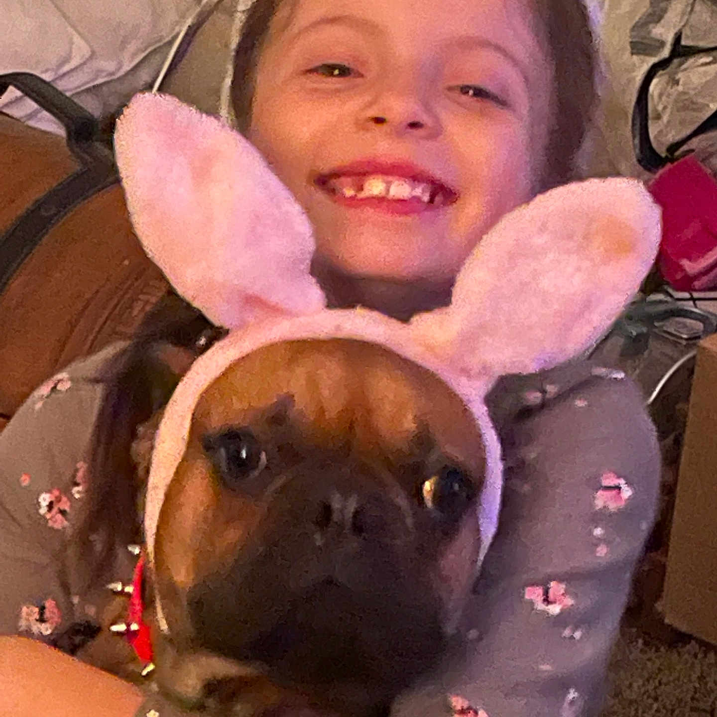 Finnagin joined the competition — help win amazing prizes! animal, brown_dog, bunny_ears, carpet, child, clothing, costume, cute, dog, ears, funny, happy, home, hug, indoor, person, pet, pink, playful, smile