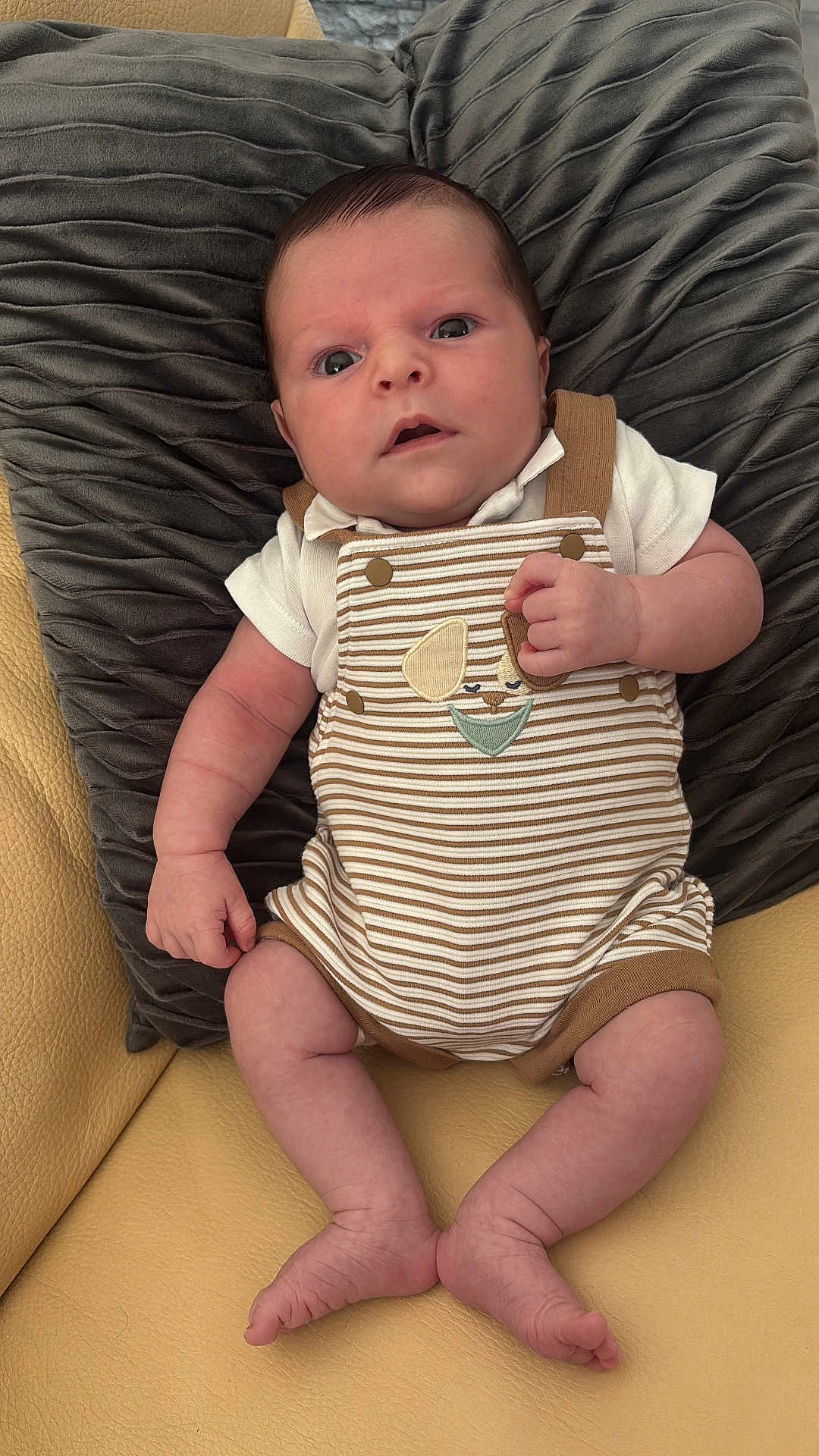 Cristiano a rejoint le concours — aidez-le/la à gagner de superbes lots ! baby, infant, child, face, eyes, pillow, couch, clothing, romper, striped, puppy, cute, skin, legs, feet, hand, expression, indoors, cozy, portrait