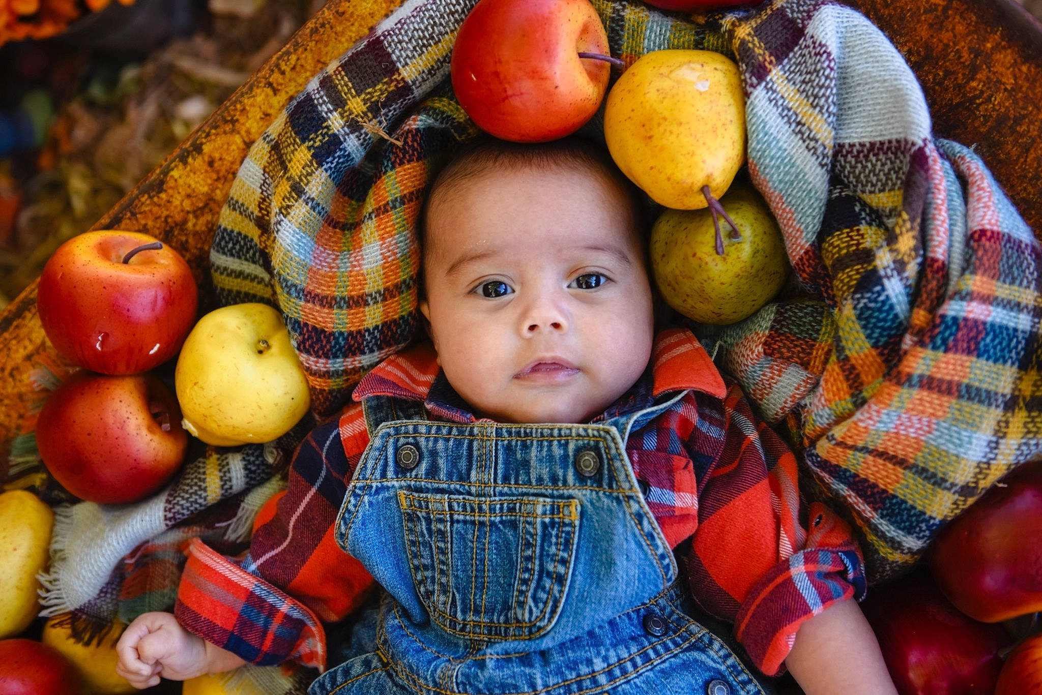 Kota is registered to the contest to win money with this photo: child, food, fruit, infant, person, produce, toddler