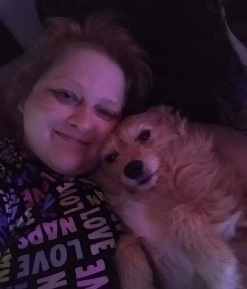 Babygirl joined the competition — help win amazing prizes! canidae, carnivore, companion_dog, dog, dog_breed, ear, eye, fawn, fun, fur, happy, iris, jaw, nose, photo_caption, sitting, smile, spitz, sporting_group, toy_dog