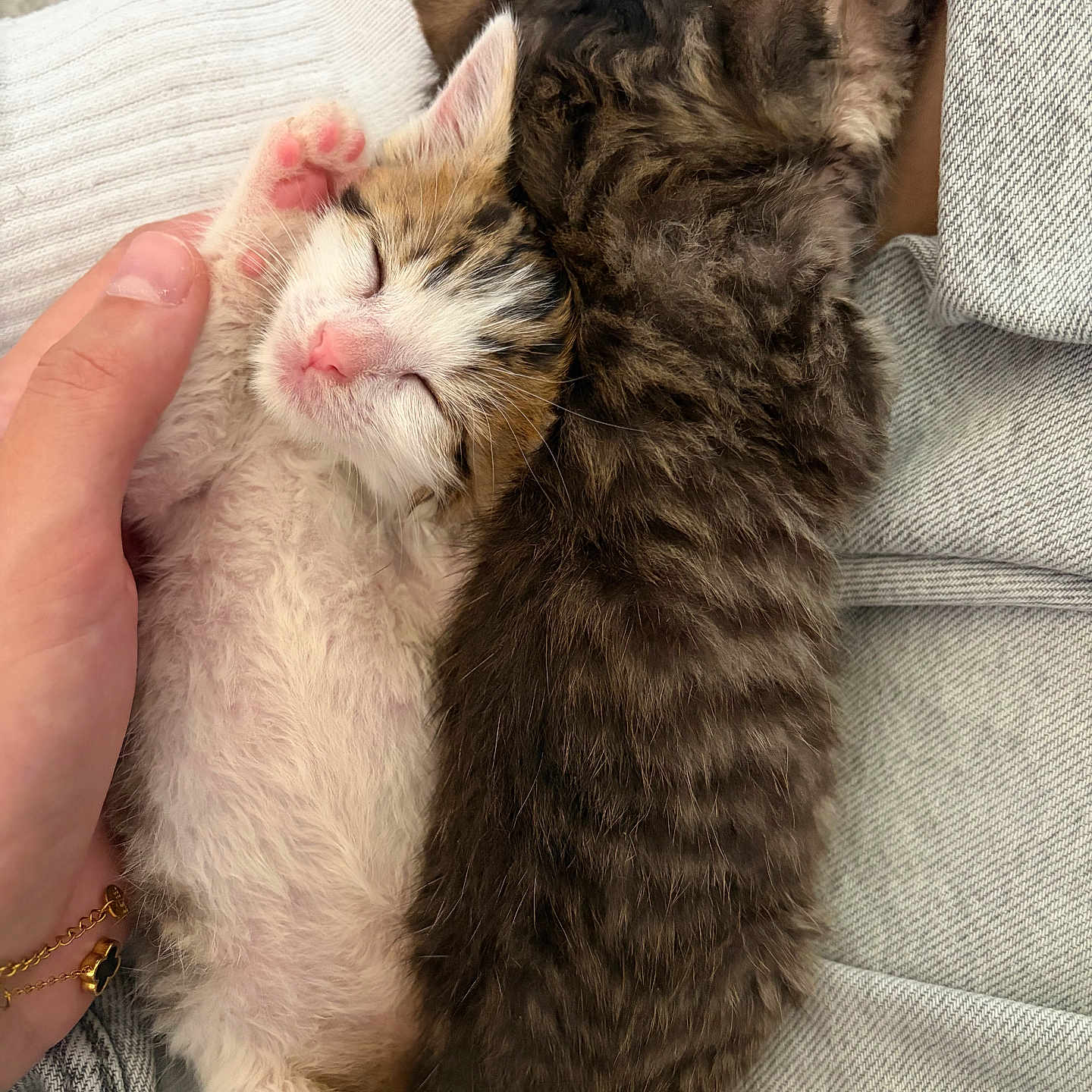Souky Et Pouky