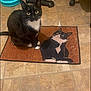 cat, black_and_white_cat, doormat, cartoon_cat, floor, tile_floor, indoor, pet, animal, whiskers, ears, tail, eyes, sitting, looking_up, home, mat, cute, domestic_cat, feline