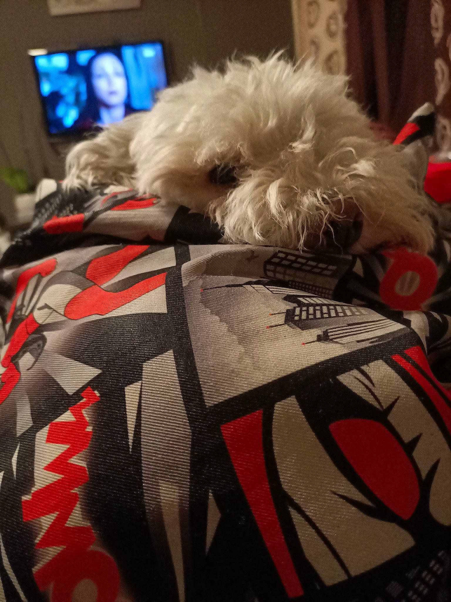 Hiris a rejoint le concours — aidez-le/la à gagner de superbes lots ! canidae, carnivore, companion_dog, dog, dog_breed, dog_clothes, dog_supply, fawn, fur, pattern, pet_supply, small_terrier, snout, sporting_group, tartan, terrier, textile, toy, toy_dog, working_animal