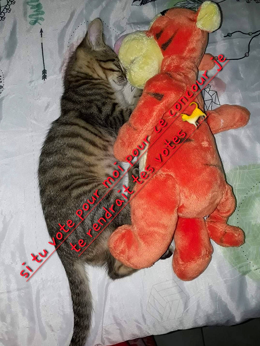 Onyx participe au concours pour gagner de l'argent avec cette photo : art, carmine, carnivore, cat, comfort, domestic_short_haired_cat, felidae, font, fur, gesture, linens, pattern, peach, sleeve, small_to_medium_sized_cats, stuffed_toy, tail, toy, visual_arts, whiskers