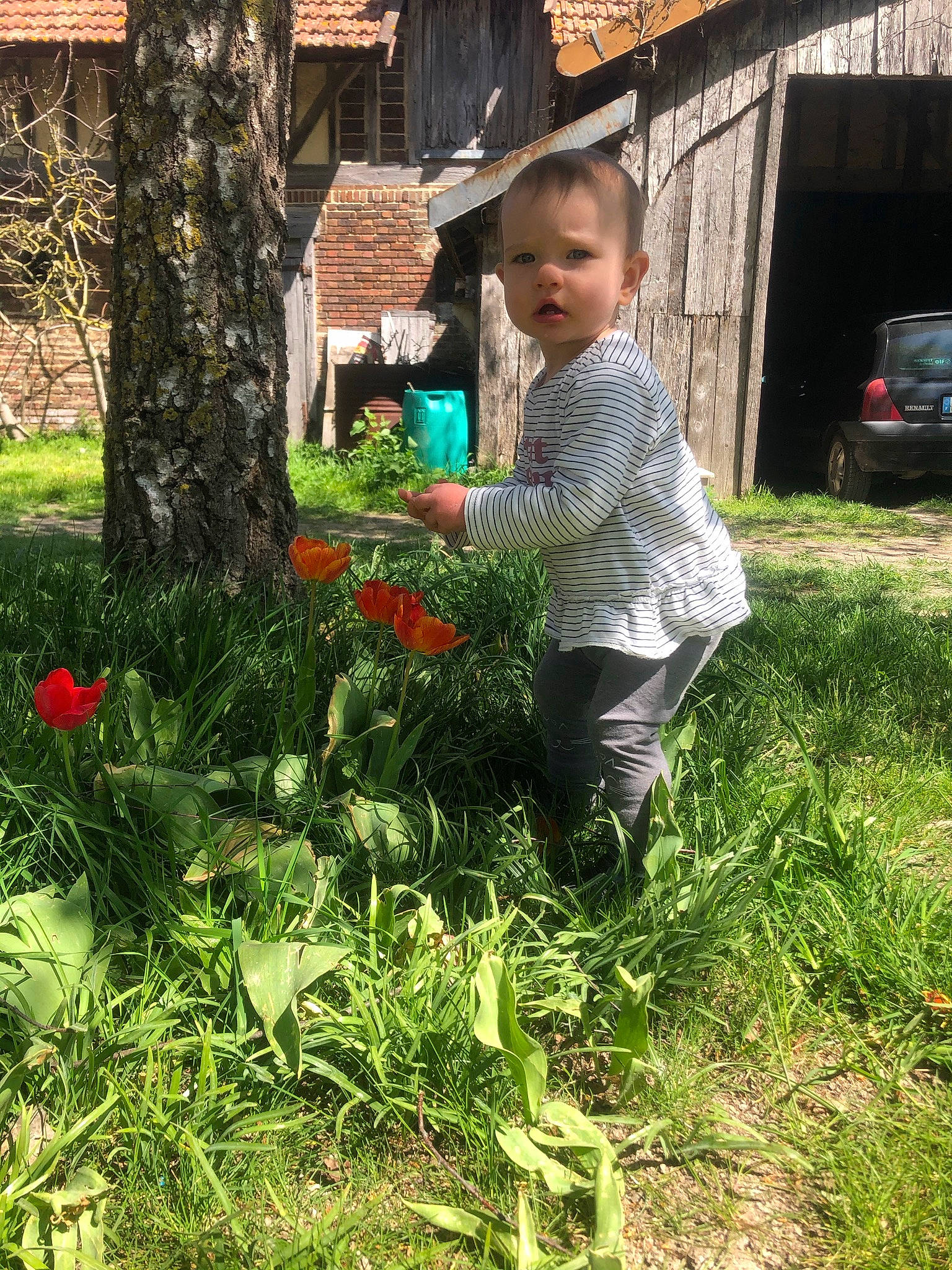Eve participe au concours pour gagner de l'argent avec cette photo : adaptation, annual_plant, car, flower, garden, grass, grass_family, groundcover, house, landscape, landscaping, lawn, leaf, leisure, people_in_nature, person, plant, shrub, t_shirt, toddler