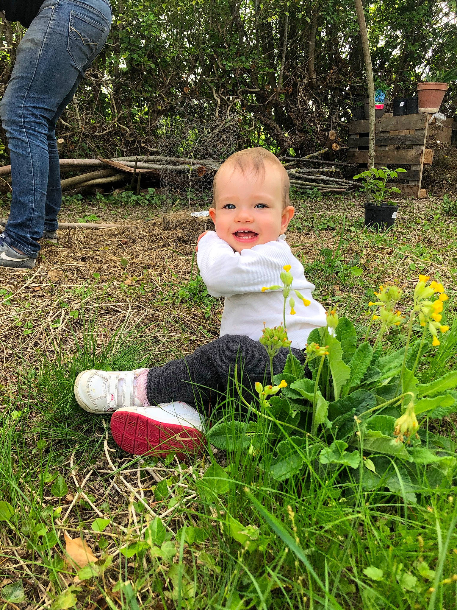 Eve participe au concours pour gagner de l'argent avec cette photo : baby, baby_toddler_clothing, child, flower, grass, grass_family, groundcover, happy, jeans, joy, lawn, leaf, leg, nature, people_in_nature, person, plant, shoe, sneakers, toddler