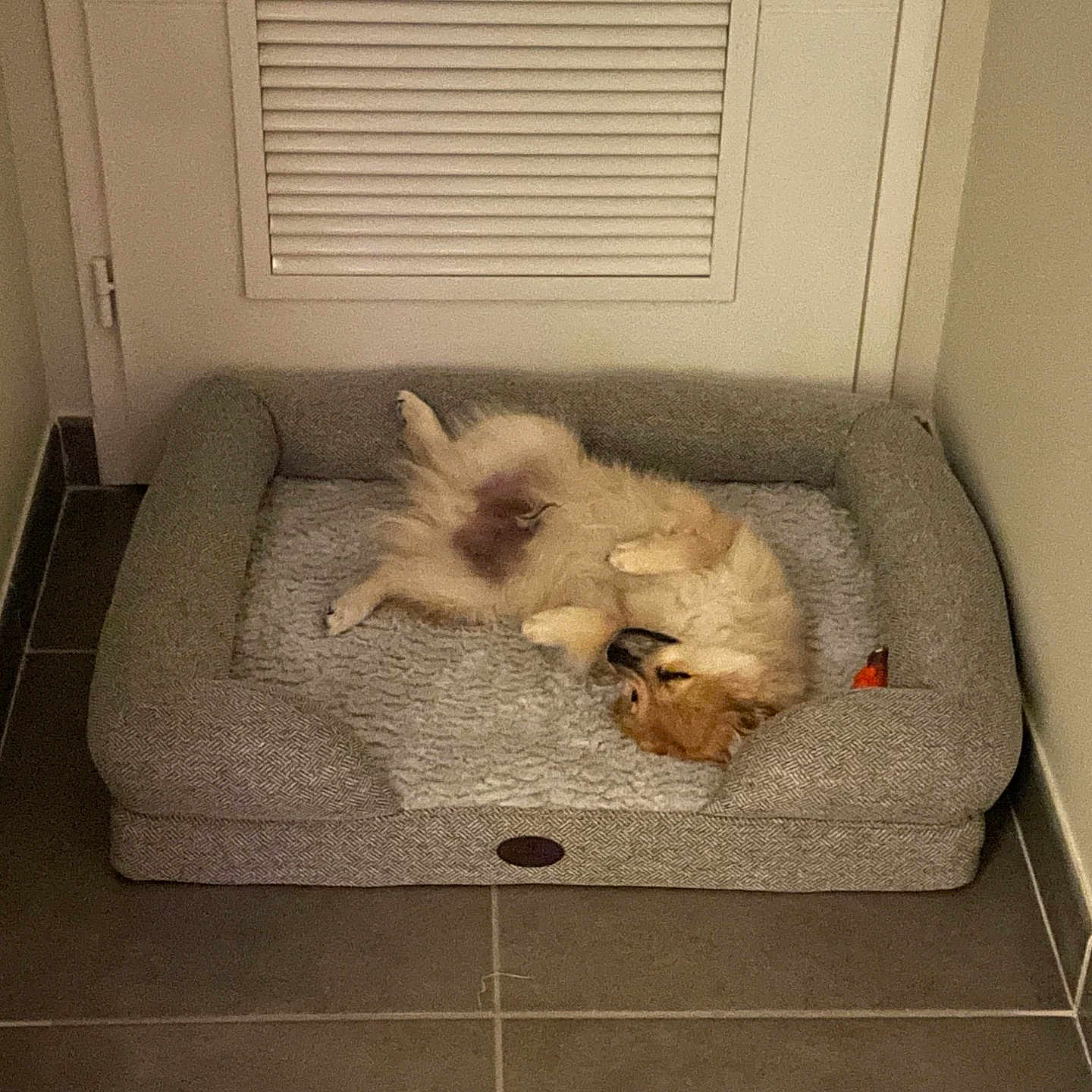 Baïko