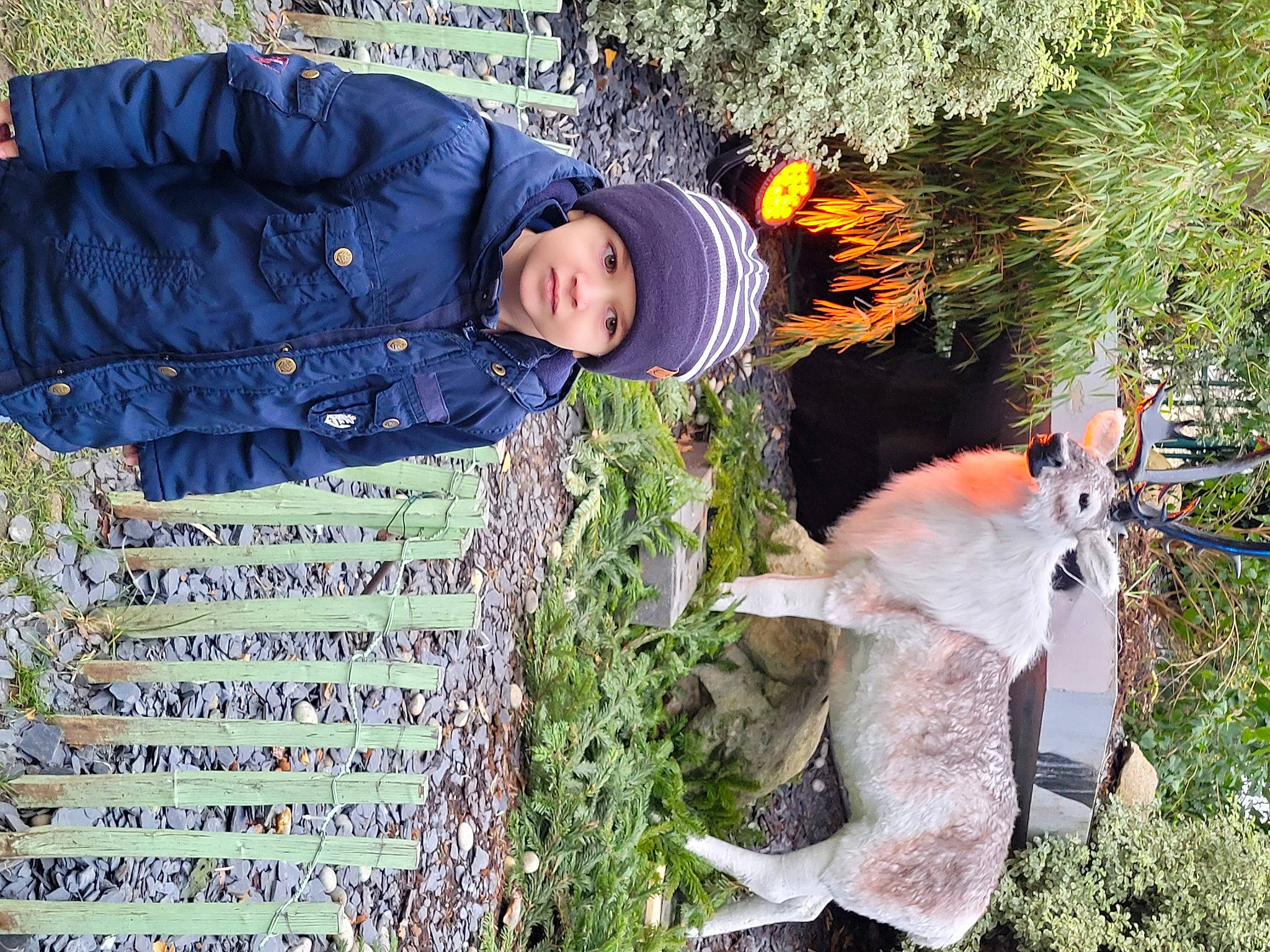 Enzo a rejoint le concours — aidez-le/la à gagner de superbes lots ! autumn, fawn, fun, fur, grass, green, happy, hat, headwear, jacket, lawn_ornament, organism, people_in_nature, person, plant, tail, toy, tree, winter