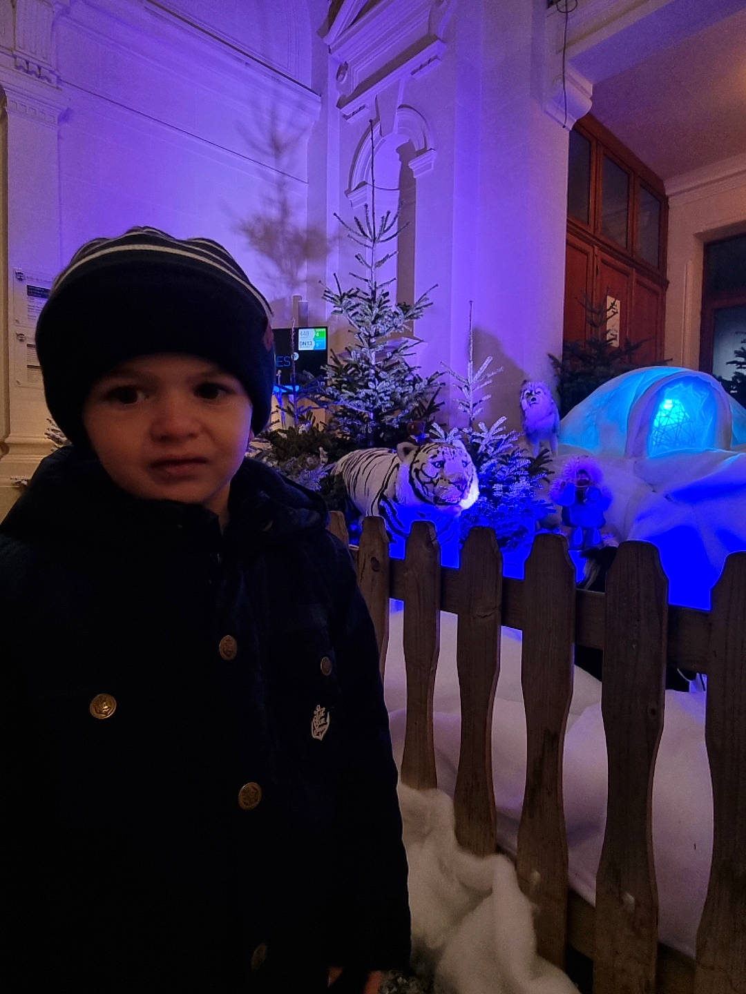 Enzo participe au concours pour gagner de l'argent avec cette photo : blue, christmas, christmas_decoration, christmas_lights, electric_blue, electricity, event, freezing, fun, headgear, headwear, holiday, light, lighting, person, plant, purple, standing, toddler, tradition