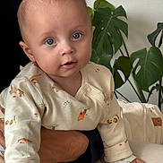 Gaspard a rejoint le concours — aidez-le/la à gagner de superbes lots ! baby, child, blue_eyes, onesie, animal_print, hand, adult, plant, green_leaves, indoor, curious, portrait, cute, infant, sitting, person, skin, long_sleeve, face, young