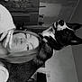 woman, dog, black_and_white, indoor, portrait, pet, casual, lamp, bag, nose_ring, long_hair, collar, wall, sign, hand, expression, furniture, room, face, animal