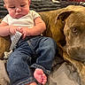 baby, dog, infant, pet, couch, sitting, portrait, indoors, home, blanket, clothing, jeans, pacifier, companion, bulldog, brown_dog, face, eyes, family, cute