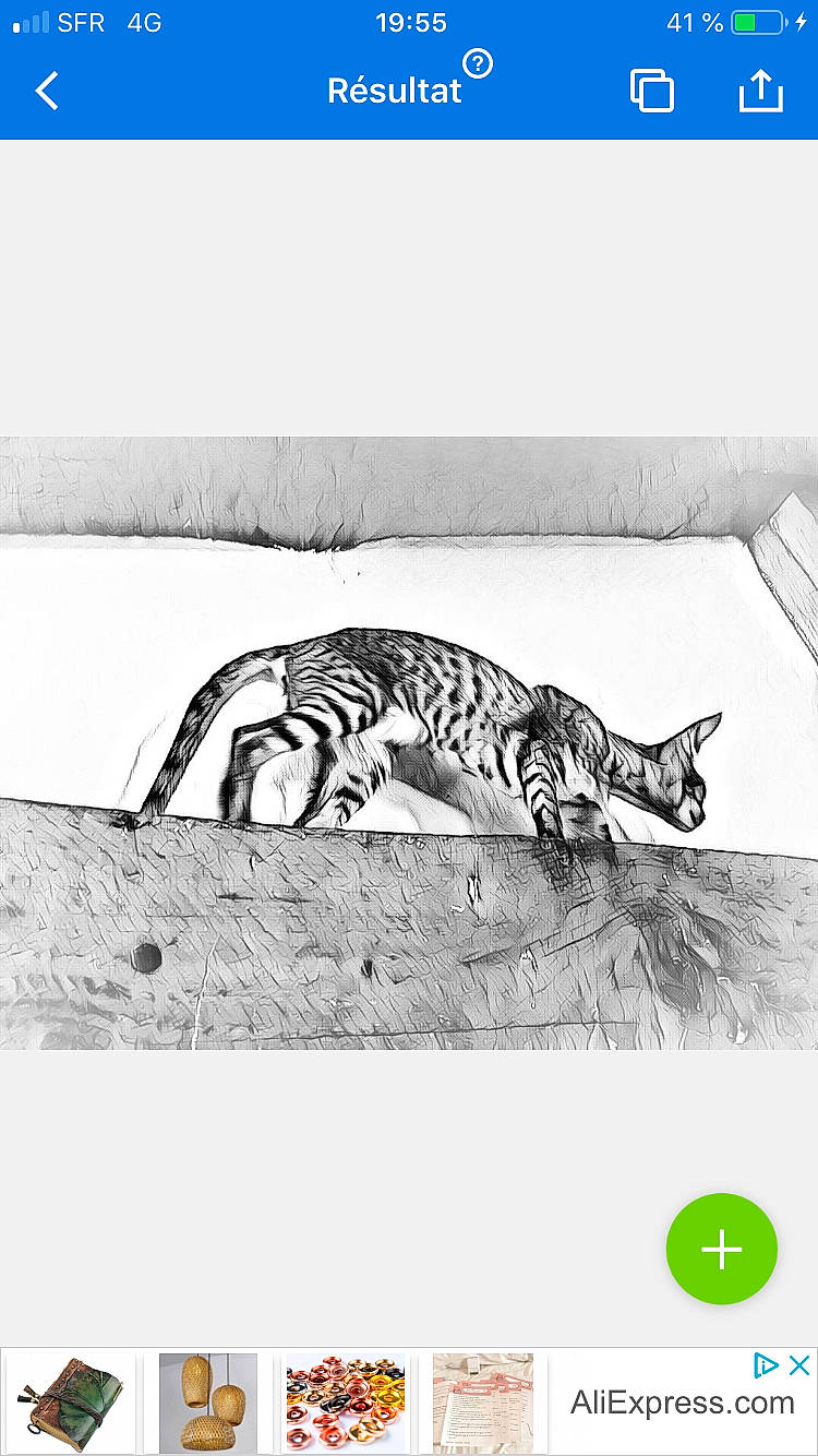 Romyshka a rejoint le concours — aidez-le/la à gagner de superbes lots ! artwork, black_and_white, carnivore, cat, drawing, felidae, graphics, illustration, painting, paw, sketch, small_to_medium_sized_cats, snout, tail, terrestrial_animal