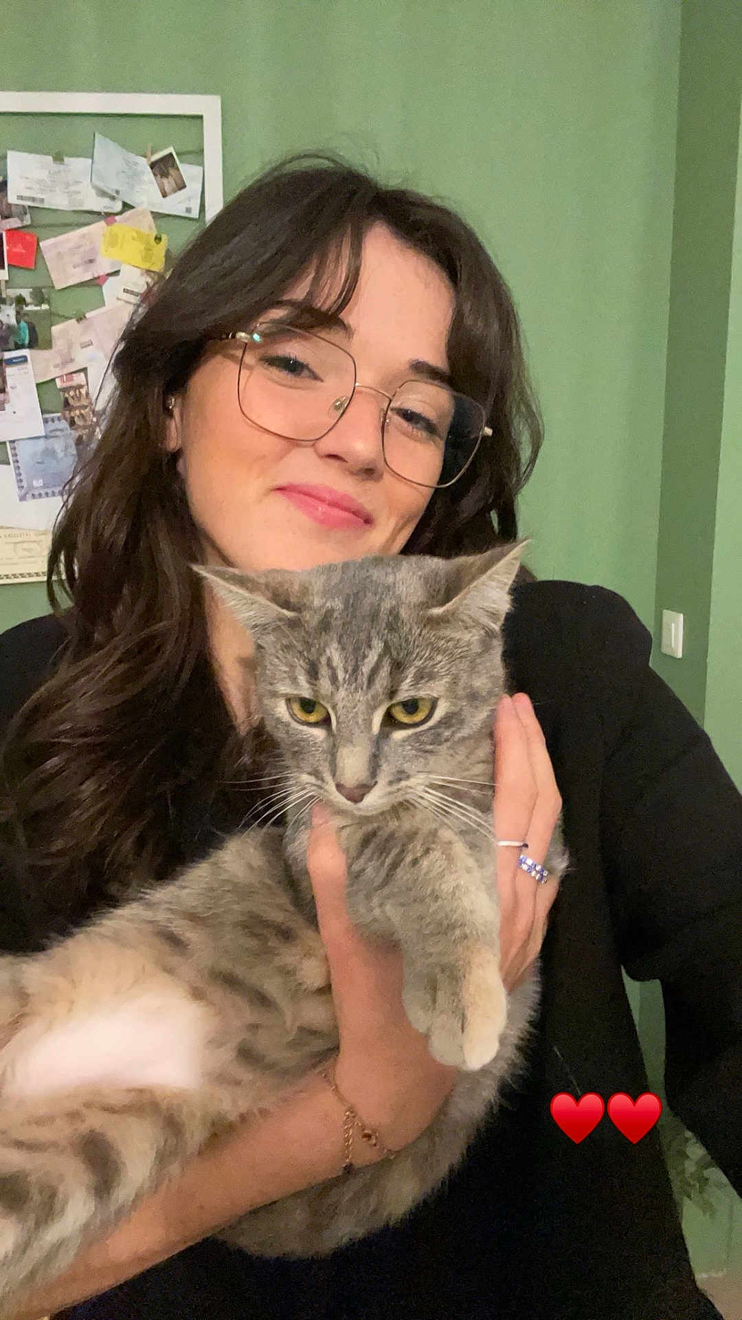 Hoshi participe au concours pour gagner de l'argent avec cette photo : woman, cat, glasses, smile, indoor, pet, holding, gray_cat, long_hair, jewelry, bracelet, ring, green_wall, portrait, casual, happy, feline, household, cute, cozy