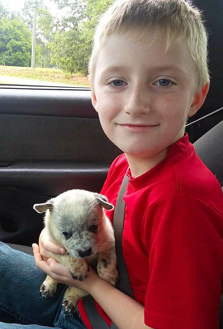 Cj is registered to the contest to win money with this photo: canidae, carnivore, child, companion_dog, dog, dog_breed, ear, fawn, non_sporting_group, nose, puppy, puppy_love, skin, toy_dog