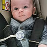 Gaetan a rejoint le concours — aidez-le/la à gagner de superbes lots ! baby, bunny, car_seat, child, closeup, curious, cute, grey_sweater, indoors, infant, infant_clothing, pacifier_clip, padded, person, portrait, safety, seatbelt, straps, wide_eyes, young_child