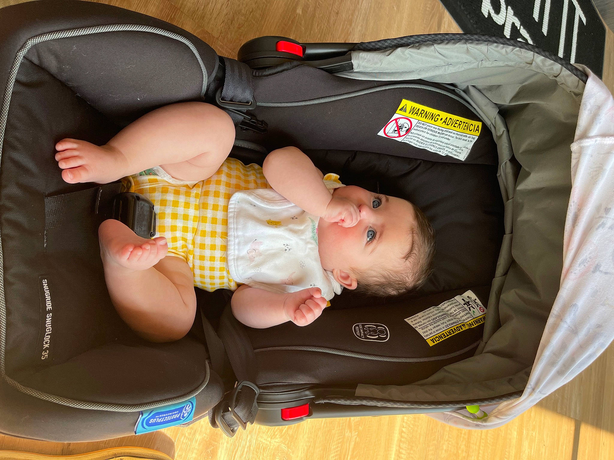 Lorelei is registered to the contest to win money with this photo: baby, baby_carriage, baby_products, baby_safety, baby_sleeping, baby_toddler_clothing, bag, baggage, car_seat, chair, child, comfort, lap, luggage_and_bags, pattern, person, product, sitting, thigh, toddler
