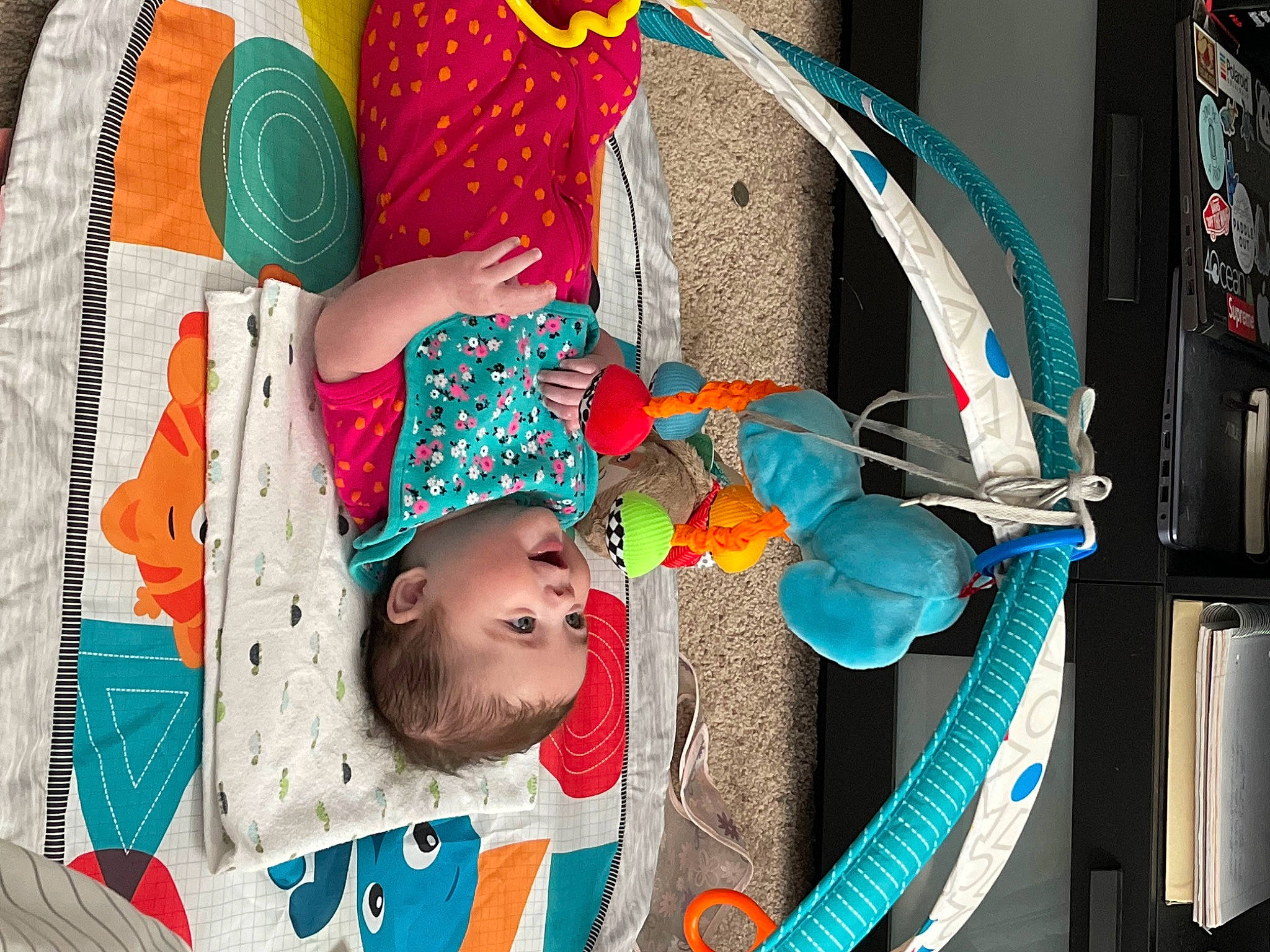 Lorelei is registered to the contest to win money with this photo: azure, blue, design, fashion_accessory, fun, green, hat, headgear, organ, pattern, person, photograph, pink, red, snapshot, sun_hat, sunglasses, textile, tree, vehicle_door