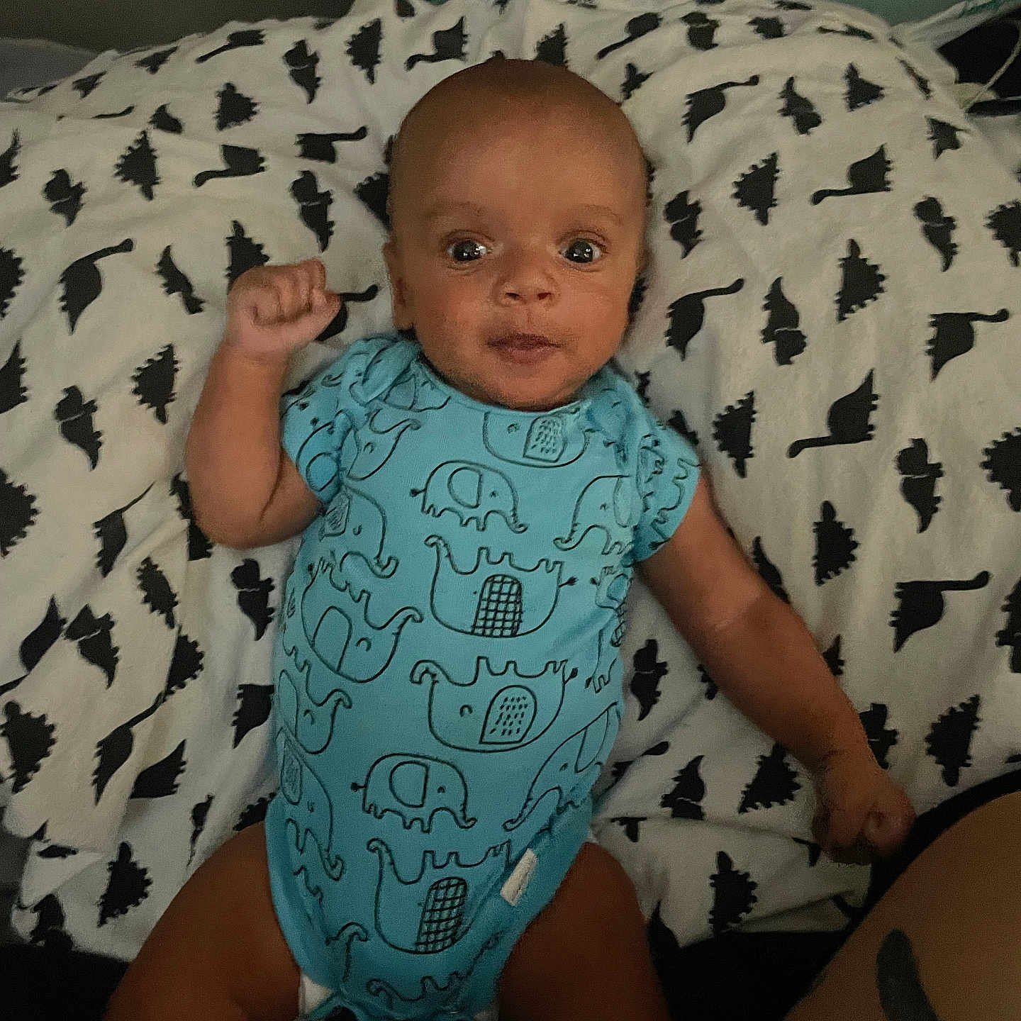 Kayson