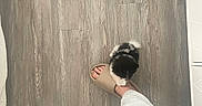 Theodore Ozai joined the competition — help win amazing prizes! animal, black_and_white, companion, cozy, cute, dog, flooring, footwear, home, indoors, paw, person, pet, puppy, slipper, small_animal, tiny, toe, white_pants, wood_floor