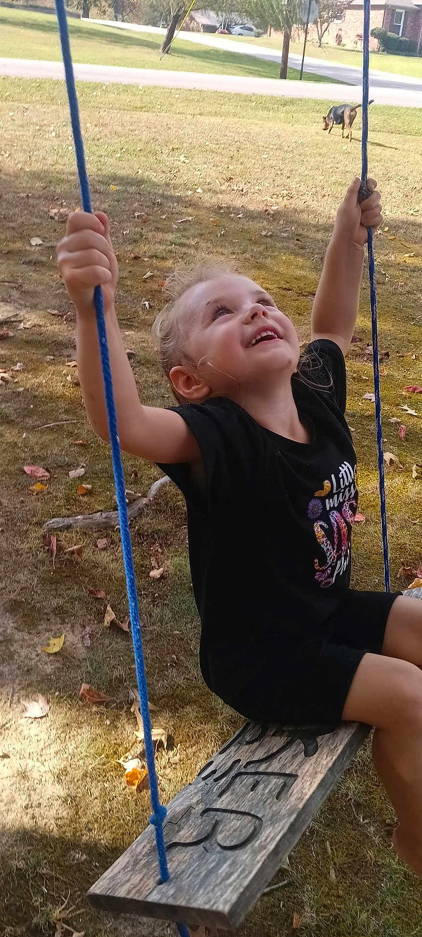 Lilly Mei joined the competition — help win amazing prizes! child, swing, smile, outdoor, grass, rope, wood, dog, autumn, leaves, play, happy, person, black_clothing, daylight, yard, nature, fun, tree, recreation