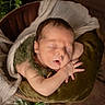 baby, basket, blanket, brown, child, closeup, cozy, cute, face, green, hands, indoors, infant, newborn, peaceful, portrait, resting, sleeping, soft_texture, wrapped