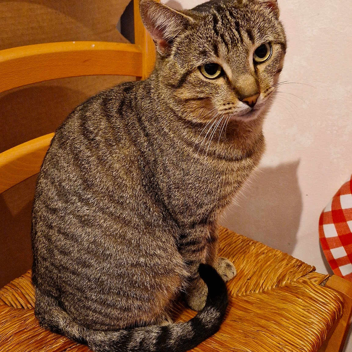 Tigrou