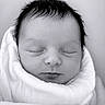newborn, baby, sleeping, black_and_white, portrait, wrapped, blanket, soft_texture, peaceful, face, infant, closed_eyes, cute, head, skin, cozy, young, hair, resting, tender