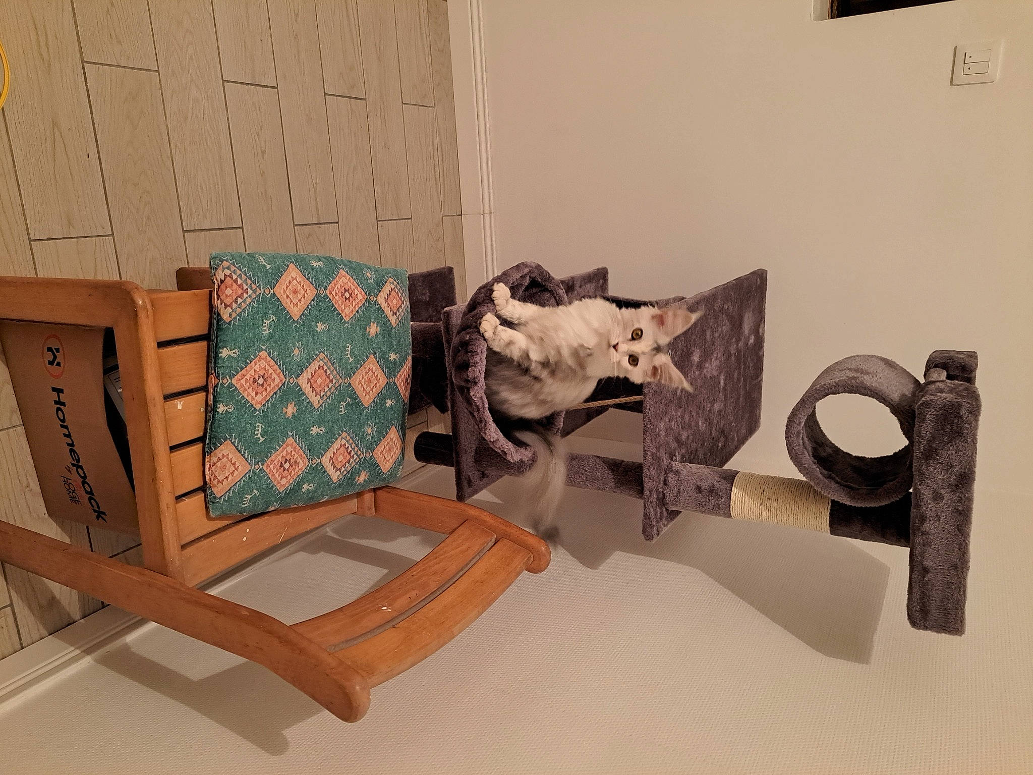 Indiana a rejoint le concours — aidez-le/la à gagner de superbes lots ! armrest, art, club_chair, comfort, couch, floor, flooring, hardwood, interior_design, linens, living_room, outdoor_furniture, pattern, peach, rectangle, room, studio_couch, throw_pillow, visual_arts, wood