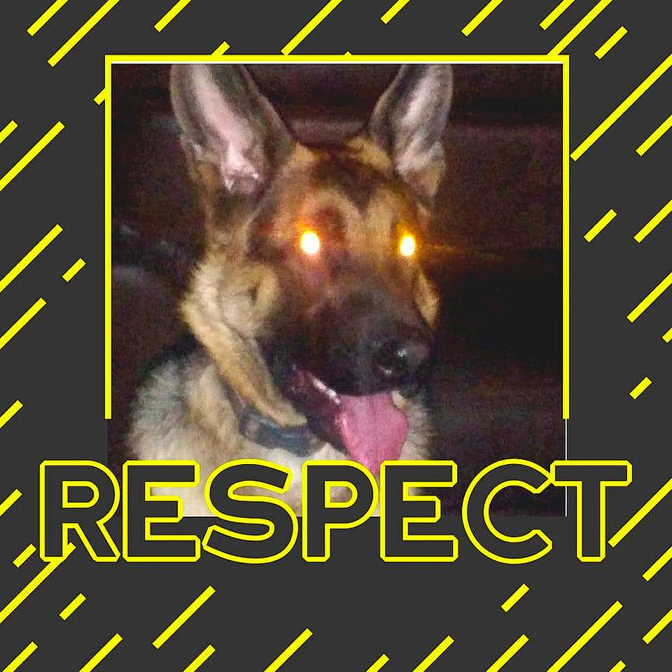 Delta participe au concours pour gagner de l'argent avec cette photo : advertising, ancient_dog_breeds, canidae, carnivore, companion_dog, dog, dog_breed, event, font, jaw, organism, photo_caption, photography, rectangle, snout, square, terrestrial_animal