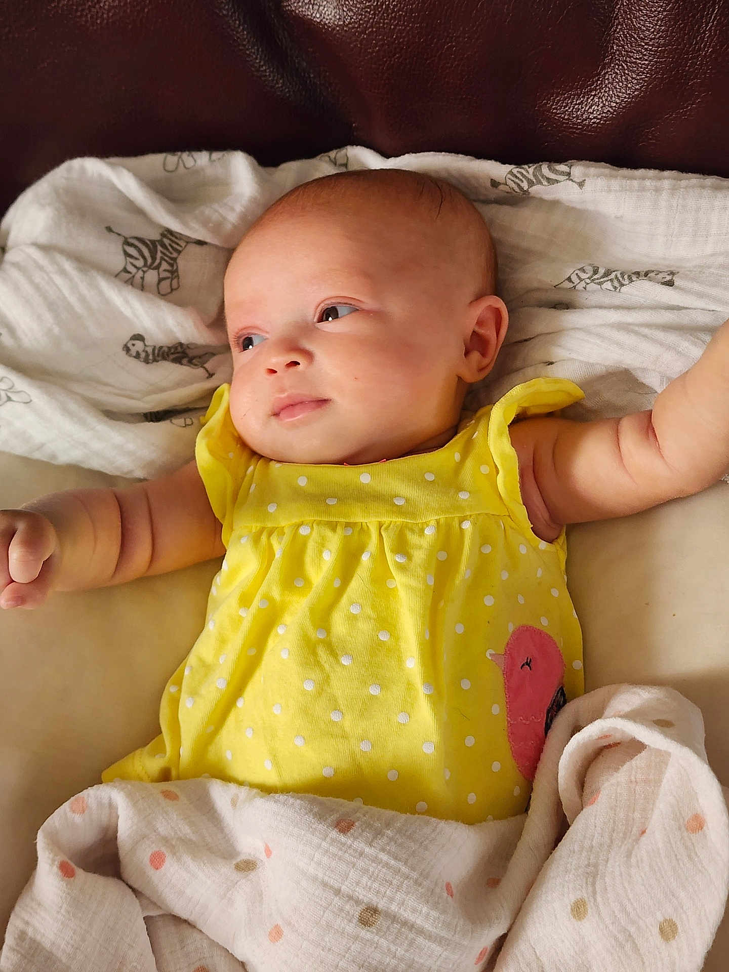 Delilah is registered to the contest to win money with this photo: baby, infant, newborn, child, face, eyes, arm, hand, yellow_dress, polka_dot, blanket, swaddle, cloth, leather_sofa, zebra_print, portrait, indoor, soft_lighting, cute, smile