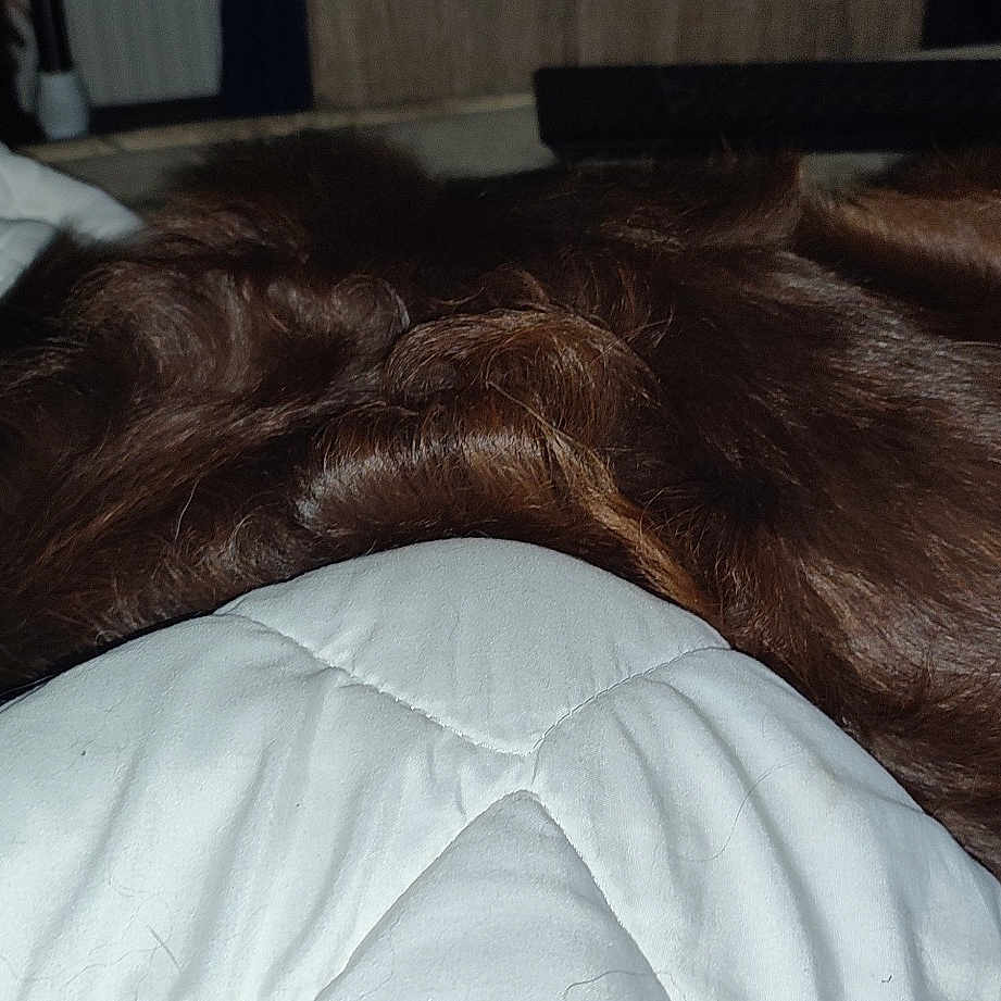 Tina