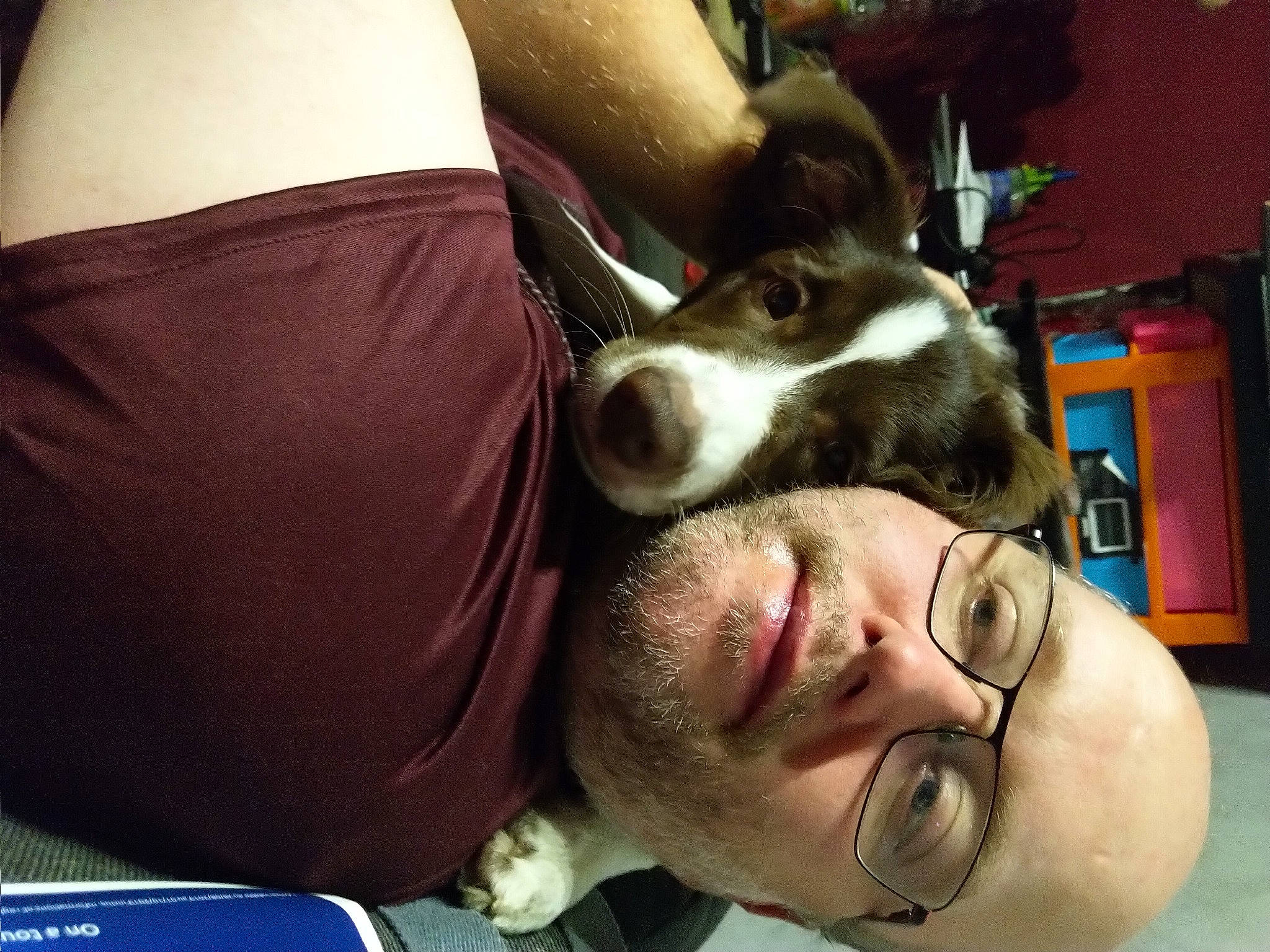 Odie participe au concours pour gagner de l'argent avec cette photo : carmine, carnivore, comfort, companion_dog, dog, dog_breed, jaw, mammal, pet_supply, selfie, snout, throat, tongue, vertebrate, working_animal