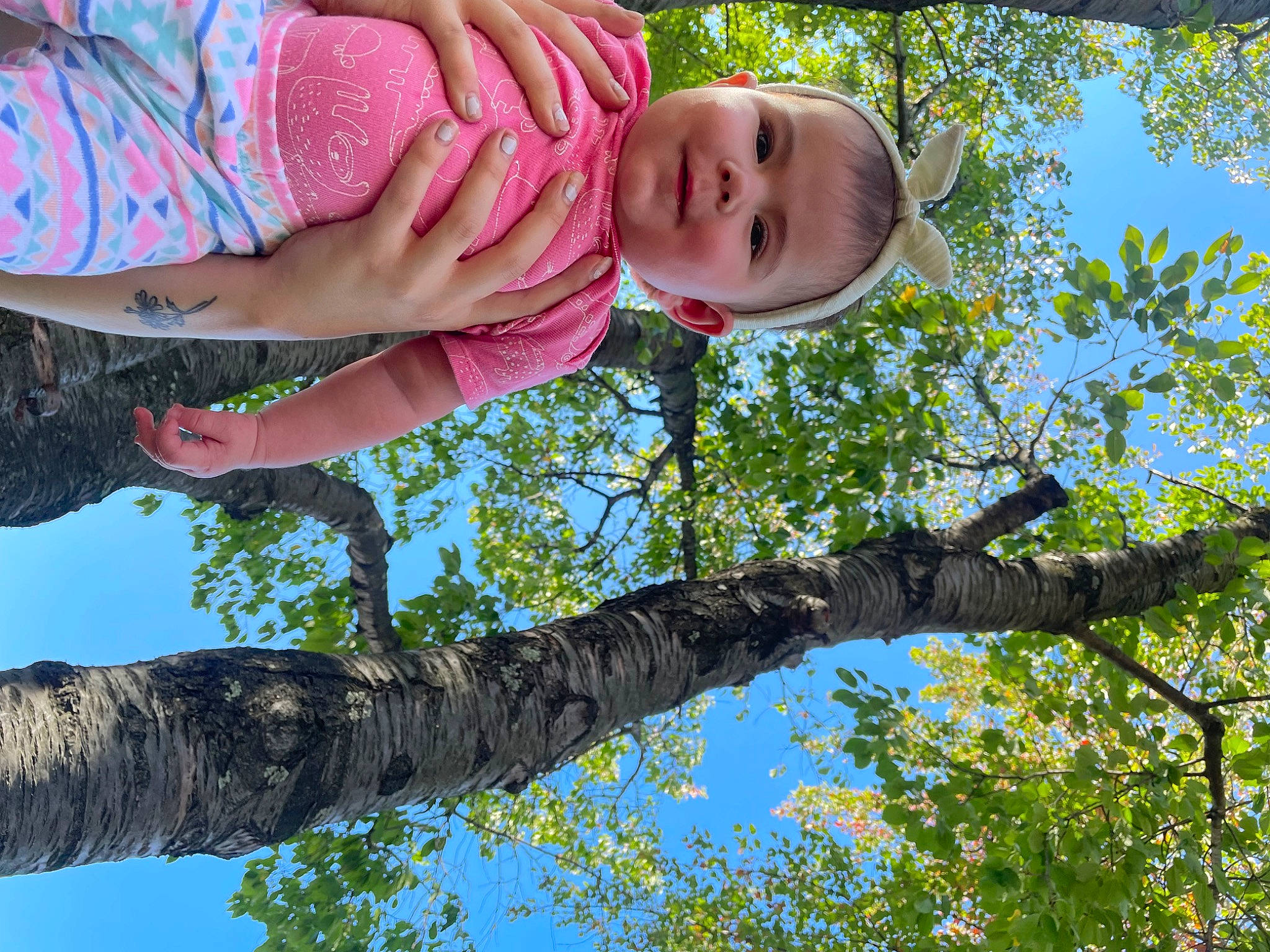 Aeris joined the competition — help win amazing prizes! arm, botany, branch, daytime, gesture, grass, green, happy, joy, leaf, leisure, light, people_in_nature, person, plant, sky, smile, tree, trunk, twig