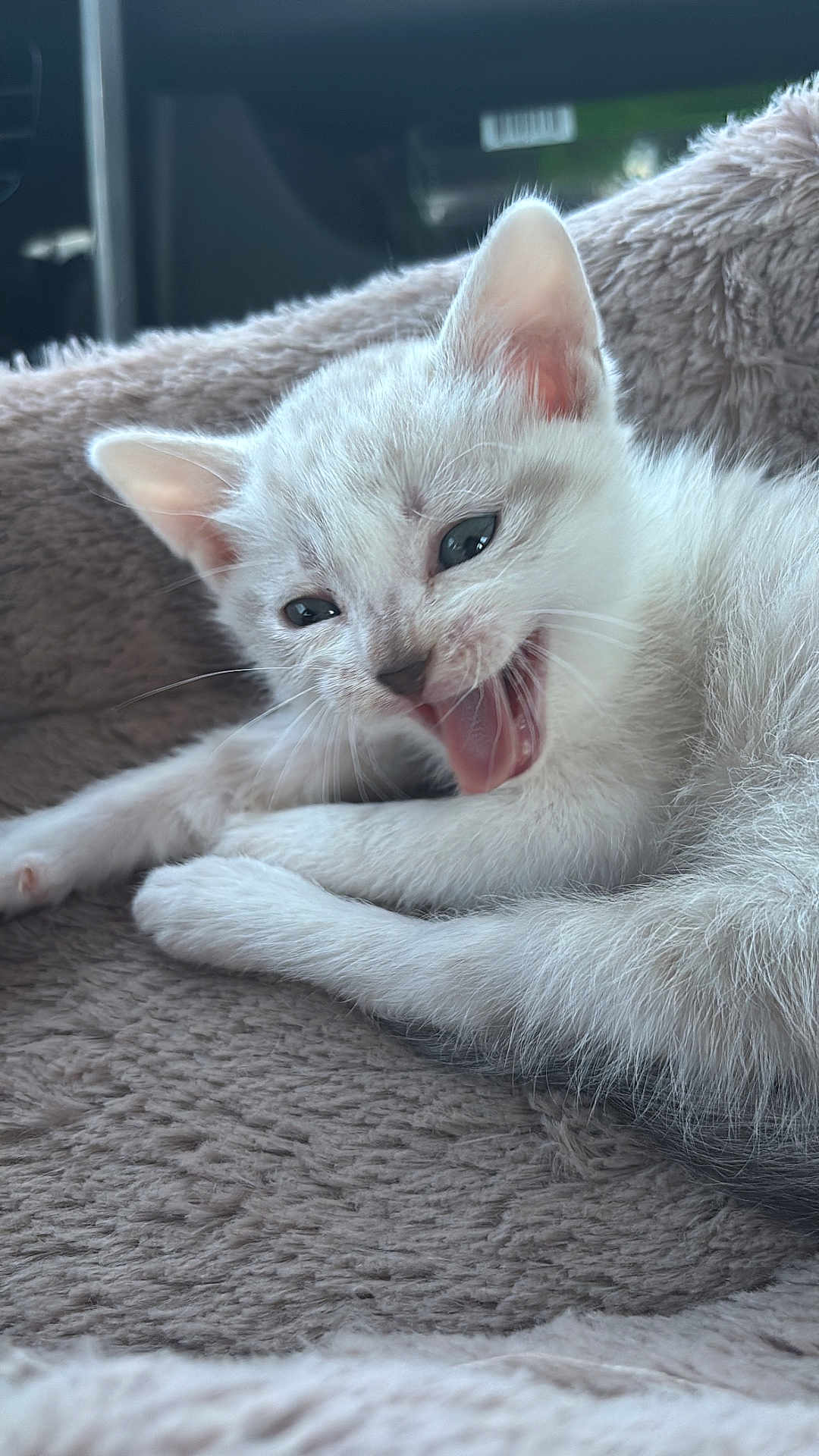 Zira