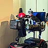 Snookie joined the competition — help win amazing prizes! animal, basket, chair, collar, curious, cushion, dog, door, floor, fur, handlebar, indoor, mobility_scooter, pet, pet_accessory, seat, shadow, small_dog, wall, wheel