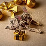 animal, background, celebration, christmas, cute, decor, dog, festive, french_bulldog, gift_box, glitter, gold_ribbon, holiday, lying_down, merle, ornament, pet, present, puppy, sparkle