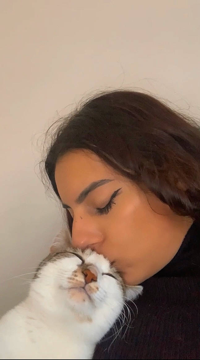 Tina participe au concours pour gagner de l'argent avec cette photo : black_hair, carnivore, cat, close_up, comfort, companion_dog, ear, eye, eyebrow, eyelash, felidae, fur, gesture, happy, jaw, long_hair, neck, nose, small_to_medium_sized_cats, whiskers