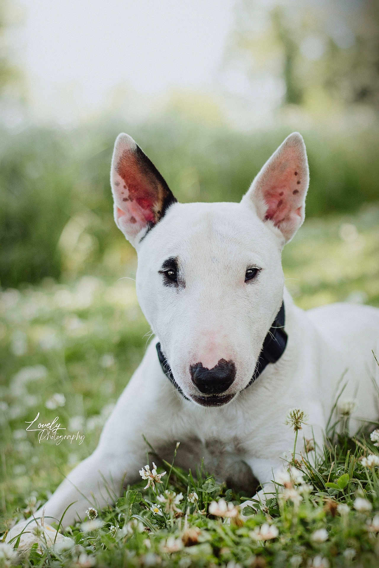 Tyson