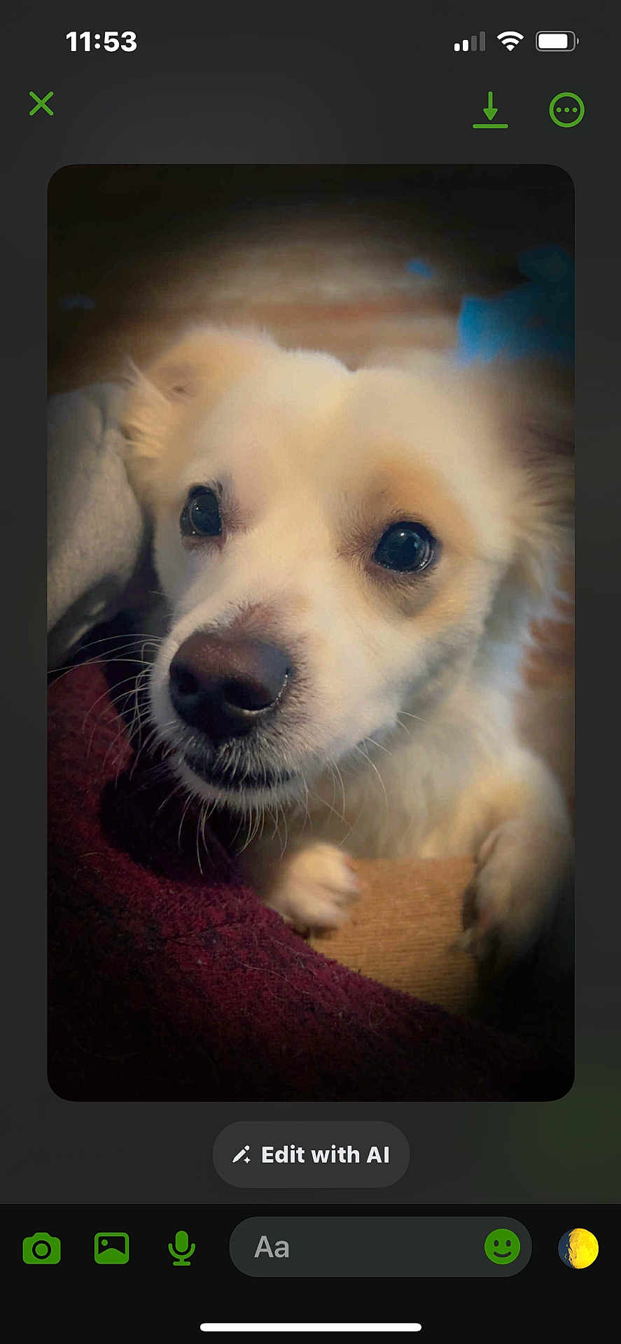 Rocko