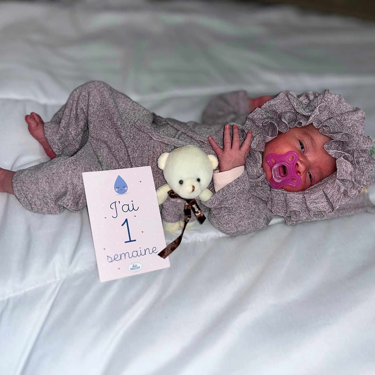 Charlotte Amaya participe au concours pour gagner de l'argent avec cette photo : animal, baby, bed, bedroom, blanket, businesscard, canine, clothing, cushion, face, furniture, hat, head, homedecor, indoors, person, pet, photography, portrait, room