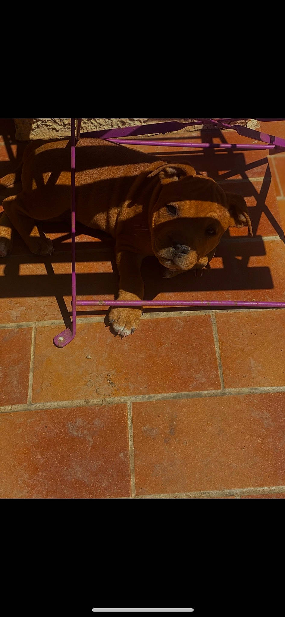 Sango participe au concours pour gagner de l'argent avec cette photo : art, brick, brickwork, brown, carmine, concrete, floor, flooring, font, hardwood, magenta, pattern, plywood, rectangle, road_surface, shadow, tile, tints_and_shades, visual_arts, wood