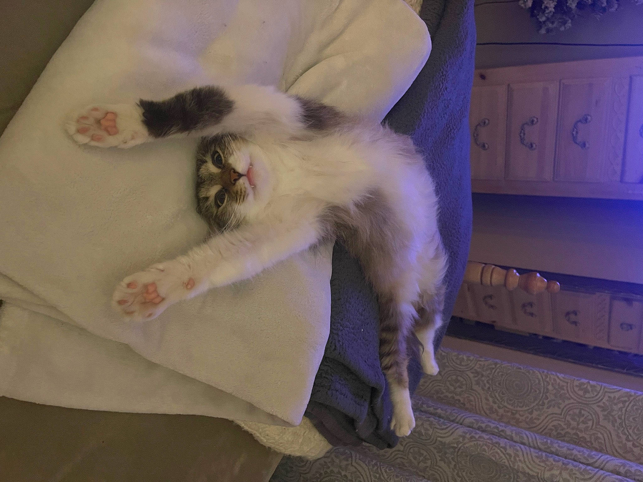 Emie Lou