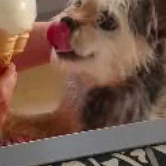 Bobby