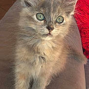 Zoé participe au concours pour gagner de l'argent avec cette photo :