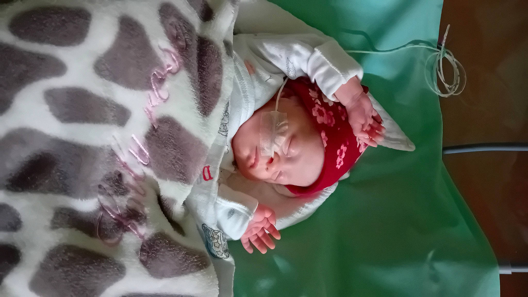 Lily Rose a rejoint le concours — aidez-le/la à gagner de superbes lots ! baby, baby_products, baby_safety, baby_toddler_clothing, bed, bedding, child, comfort, fur, happy, linens, pattern, person, pink, room, skin, sleep, sleeve, toddler