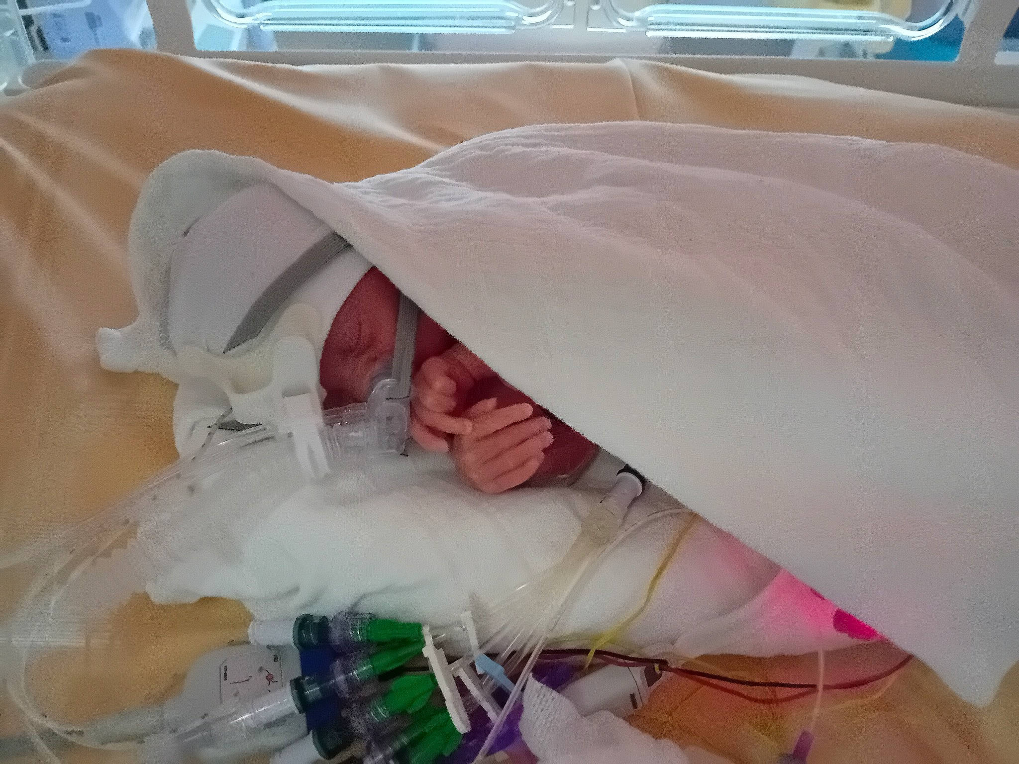 Lily Rose a rejoint le concours — aidez-le/la à gagner de superbes lots ! automotive_exterior, automotive_window_part, baby, baby_products, bedding, child, comfort, event, family_car, hat, hood, linens, motor_vehicle, peach, person, pink, plastic, toddler, vehicle, vehicle_door