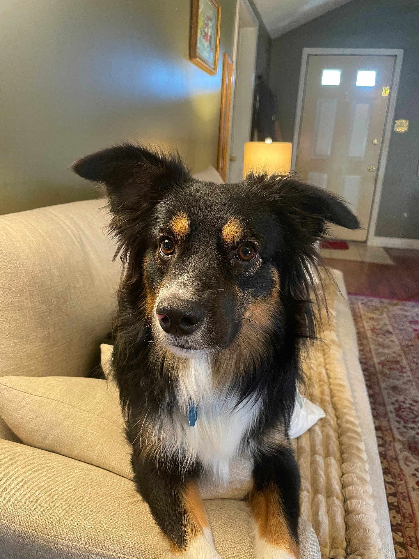 Buddy