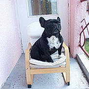 Kiki participe au concours pour gagner de l'argent avec cette photo :