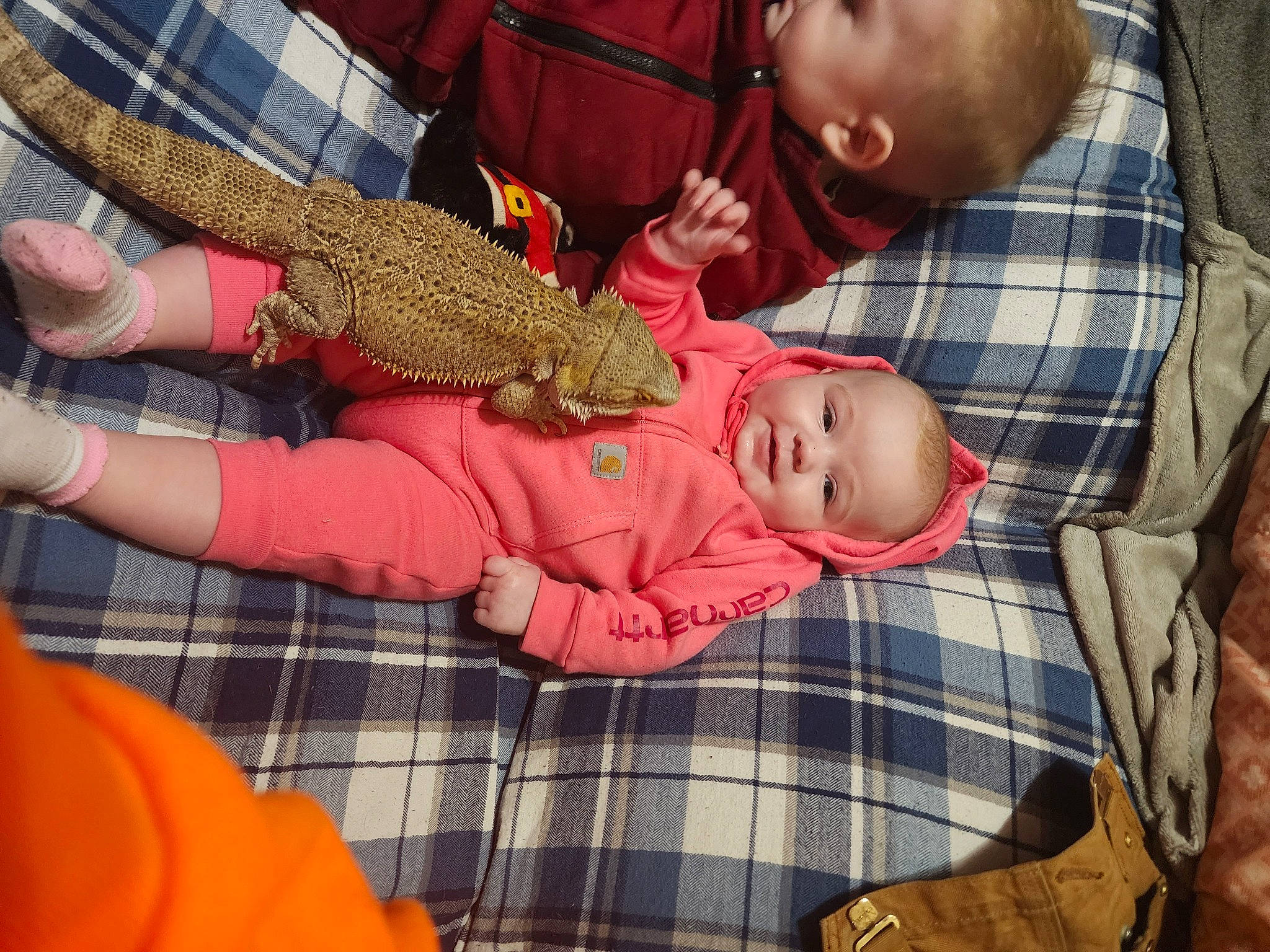 Kinsley is registered to the contest to win money with this photo: baby, baby_products, baby_toddler_clothing, child, comfort, event, gesture, lap, nail, pattern, person, plaid, room, sitting, skin, tartan, textile, thumb, toddler, wood